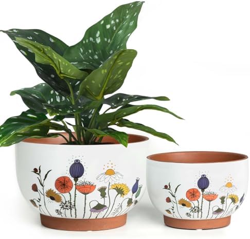 Terracotta Pots, 8+6 Inch Plant Pots, 2 Pcs with Drainage Holes by YBXYIBOXUAN