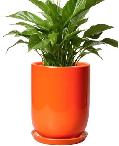 Ceramic Planter - 8 Inch Plant Pot with Drainage Hole and Saucer, Cylinder Round Modern Flower Pot for Indoor Outdoor Plants, Plant Lover Gifts, Garden Office Home Decor, Orange by SUNPOTFOR