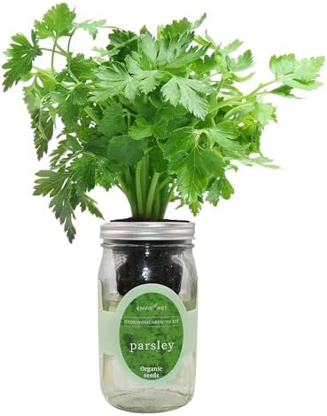 Hydroponic Herb Growing Kit, Self-Watering Mason Jar Herb Garden Starter Kit Indoor, Windowsill Herbs Garden, Grow Your Own Herbs from Organic Seeds (Parsley) by Environet