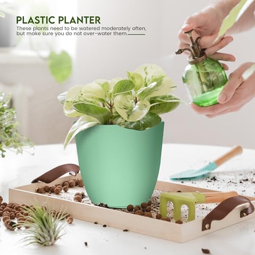 Plant Pots Indoor with Drainage, 10 Pack Multi-Size Planters Set, Mint - Image 4