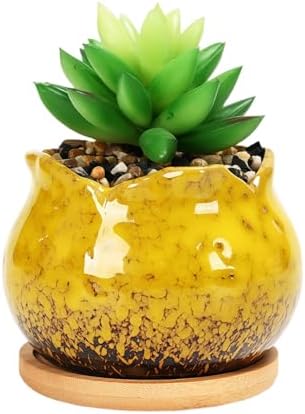 Cute 4" Round Ceramic Home Garden Decoration Succulent Cactus Flower Pots Container -Plant Not Included，Yellow by SJBAG