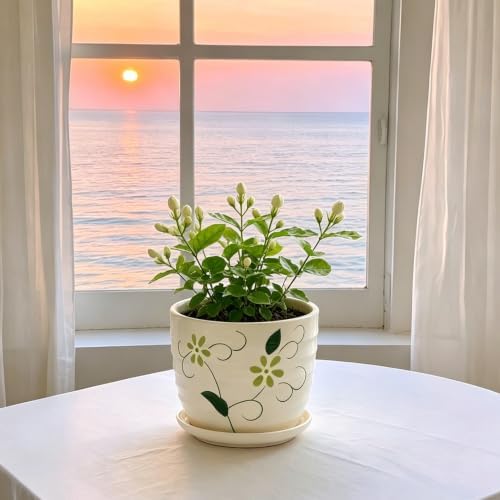 Vintage Flower Pots for Indoor Plant, Round Ceramic Plant Pots with Drainage Holes and Saucers, 6.7/5.2/3.9 Inches Retro Flower Planters Set of 3 - Image 5