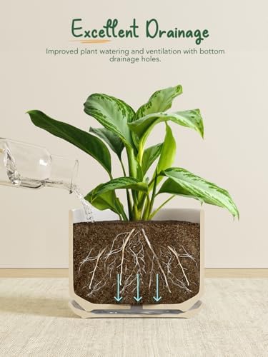LE TAUCI Ceramic Pots for Plants, 8 Inch Plant Pot with Drainage Hole & Saucer, Modern Planters for Indoor Plants, Round Flower Pot for Snake Plant, Monstera, Perfect for Home Decor, Forest Green - Image 4