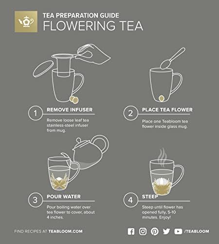 Teabloom Stay-Hot Heatproof Glass Mug with Loose Tea Infuser and Lid – 15 oz /430 mL – 2 Blooming Teas Included - Image 6