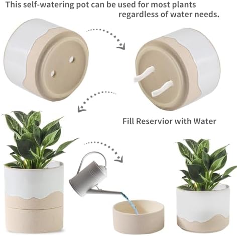 Nihow Self Watering Ceramic Planter, 4.5+6 Inch, White & Nature - Image 3