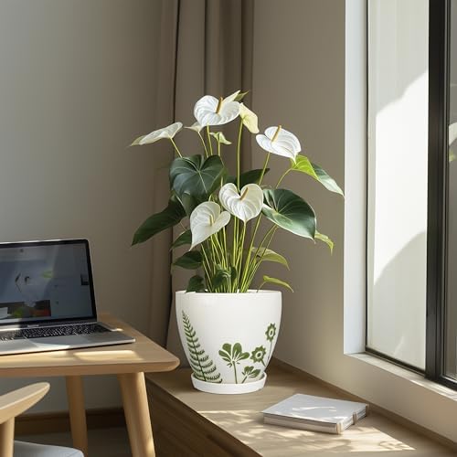 MPotTo 8.2 Inch Plant Pot - Ceramic Planter for Indoor Outdoor Flowers, Boho Round Decorative Indoor Flower Pot with Drainage Hole and Saucer, Gifts for Plant Lovers, Office Garden House Decor, White - Image 5