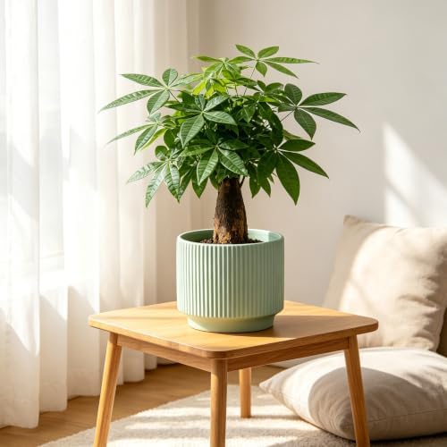 Ceramic Pots 5.1 Inch Fluted Green Ceramic Planters Round Flower Pots with Drainage Hole for Desk Modern Office Living Room Table Shelf Home Indoor Outdoor Decor (Green, Medium) - Image 2