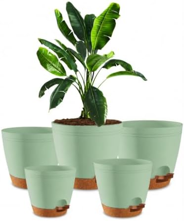 Utopia Home Self Watering Pots for Indoor Plants 6.8"/6.4"/5.9"/5.5"/4.9" Set of 5, Planters for Indoor Plants, Small Multi-Size Flowerpot, Plant Pots with Drainage & Reservoir (Olive Green) by UTOPIAHOME