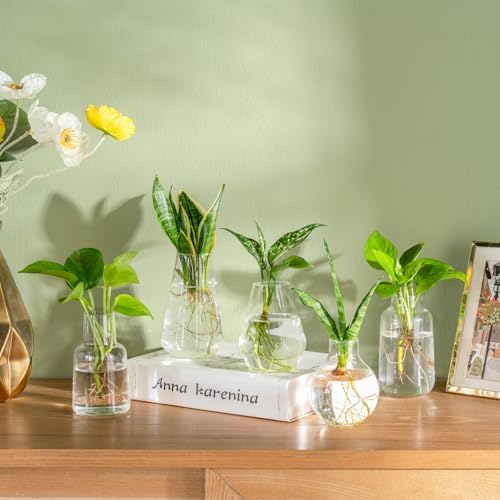 Mkono Propagation Vases 5 Glass Jars Station for Hydroponic Plants, Clear - Image 2
