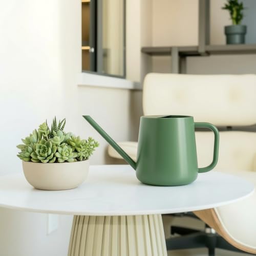 Watering Can for Indoor & Outdoor Plants, 35 oz/1000ml Watering Can with Metal Handle, Stainless Steel Garden Long Spout Watering Pot for Indoor House Plants Bonsai Flower Decorative - Image 4