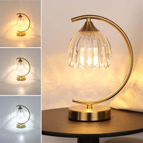 Shenmoyl Tulip Table Lamp, 5200mAh Cordless Touch Control Table Lamp with 3 Color Temps & Stepless Dimming, Rechargeable Battery Table Lamp for Living Room, Bedroom, Office, Shelf (Transparent Tulip) by Shenmoyl