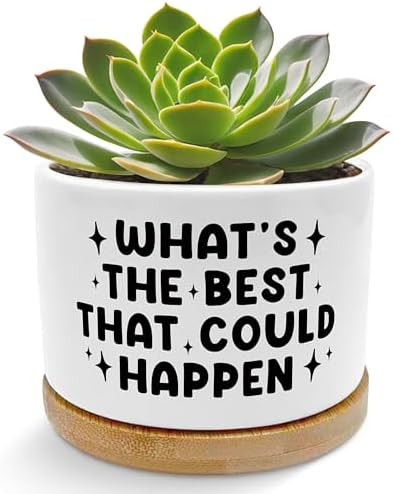 Inspirational Planter Pots, Positive Affirmation Gifts, What's the Best that Could Happen Ceramic Succulent Plant Flower Planters for Home Office Desk Table Shelf(No Plants) by Unknown