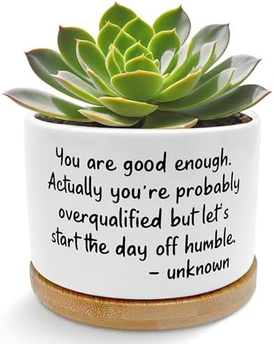 Motivational Quote Planter Pots, Inspirational Gifts for Women Men, You are Good Enough Positive Ceramic Succulent Plant Flower Planters for Home Office Desk Table Shelf(No Plants) by Unknown
