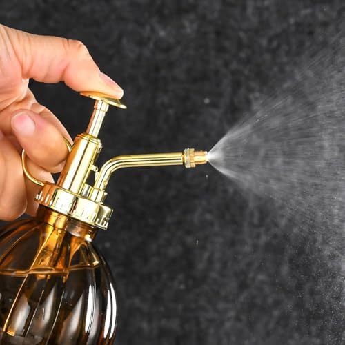 Spray Bottle for Plants, Plant Mister Spray Bottle, Glass Plant Mister Spray Bottle, Embossed Vintage Glass Watering Can, Succulent Watering Bottle with Top Pump for Outdoor (FF) - Image 6