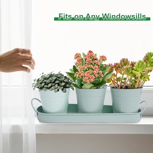 Herb Garden Planter Indoor Kit – 6 Metal Pots with 2 Trays for Windowsill & Kitchen Counter – Modern Decorative Indoor Planters for Herbs, Succulents & Small Plants, Mint - Image 5