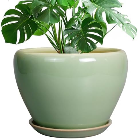 Ceramicfor Ceramic Planter Pot, 10 Inch Plant Pot, Reactive Green by Ceramicfor