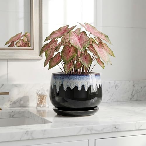 Ceramic Plant Pots 7 Inch - Ceramic Planter with Drainage Hole and Saucer, Decorative Flower Pots for Indoor Plants, Indoor Planter, House Garden Decor, Gifts for Plant Lovers, Black-Blue - Image 6