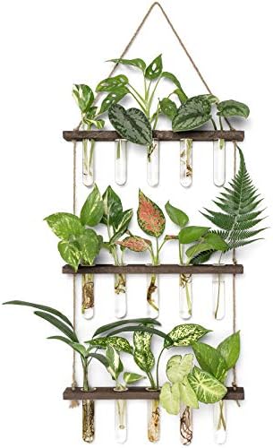 Mkono Plant Propagation Station, 3 Tier Brown Wall Hanging Vase Test Tubes by Mkono