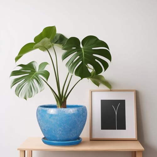 Ceramicfor 6 Inch Plant Pot - Ceramic Planter Pot with Drainage Hole and Saucer, Glaze Succulent Pot Modern Round Flower Pot for Indoor Plants, Blue - Image 2