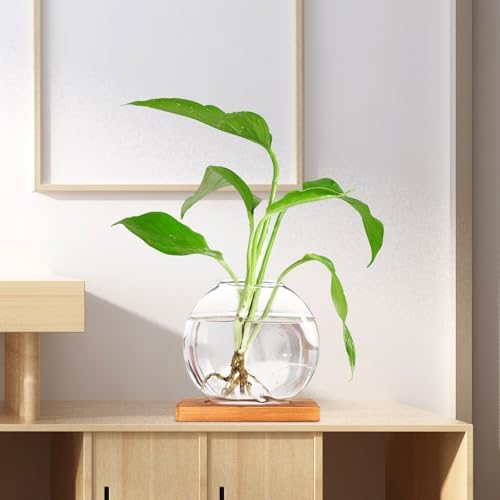 Hydroponic Glass Plant Vase with Wood Base, Small Desktop Flower Propagation Station for Indoor Garden and Office Home Décor - Image 5