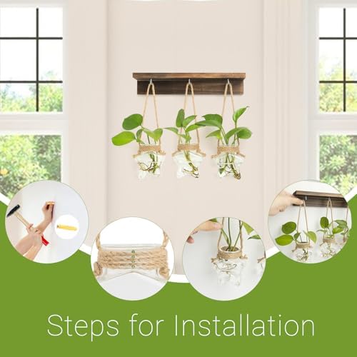 XXXFLOWER Wall Hanging Propagation Station with 3 Star-Shaped Glass Vase - Image 3