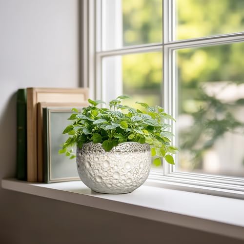 Ceramic Pots for Plants, 6 Inch Plant Pot Indoor, Beige-Grey - Image 3