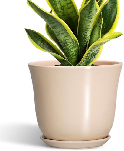 8 Inch Plant Pot, Ceramic Pots for Plants Indoor, Beige by SUNPOTFOR