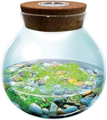 WaterPlants- Create Your Own Lush and Soothing Aquascape Terrarium Starter Kit, Indoor Plant Glass Globe Terrariums with Powerful 3 LED Light and Complete Supplies, Just Add Water! - Image 2