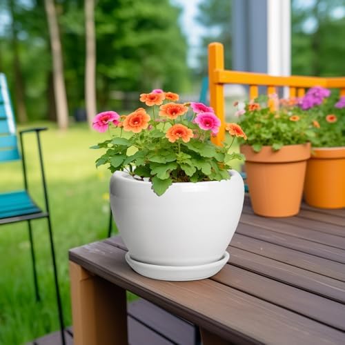 Ceramicfor Ceramic Pot for Plants - 6 Inch Plant Pot for Succulent Plants, Glaze Modern Round Planter with Drainage Hole and Saucer, Gifts for Plant Lovers, Home Office Patio Room Decor, White - Image 4