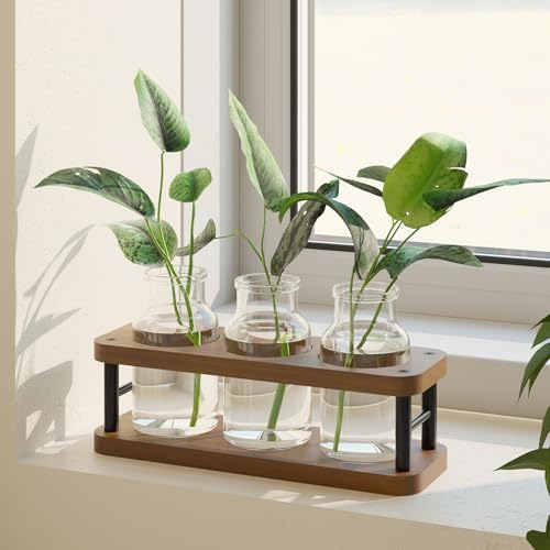 THYGIFTREE Plant Propagation Station with Wooden Stand, Propagation Vases Glass Planters for Indoor Plants Hydroponic Propagating Jars Home Office Decor, Brown - Image 6