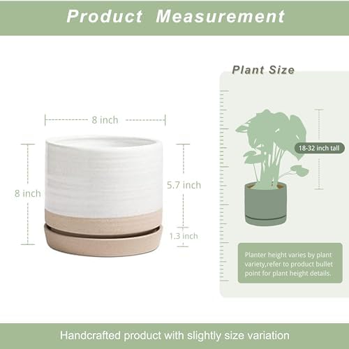 HERDUK 8 Inch Pots for Plants, Ceramic Planter Pot with Drainage Hole & Saucer, Indoor or Outdoor Cylinder Round Planter Pot, Matte White & Beige - Image 2