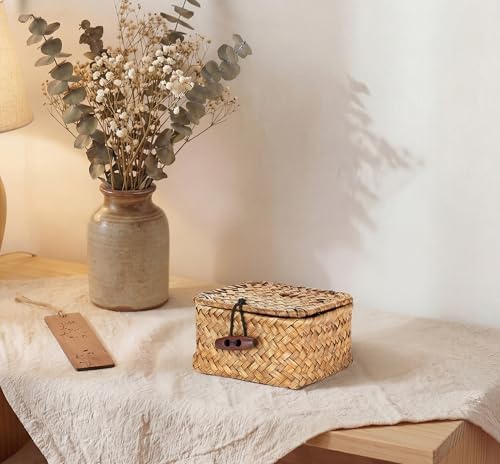 Hipiwe Handwoven Wicker Basket Box with Lid Small Seagrass Desk Organizer - Image 4