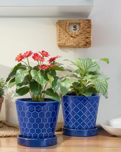 EFISPSS Ceramic Plant Pots, 5Inch Pots for Indoor Plants, Planters with Drainage Holes and Ceramic Tray,Plant Lover Gift, Desktop Office Windowsill Decoration Gift Set of 4 - Blue - Image 5