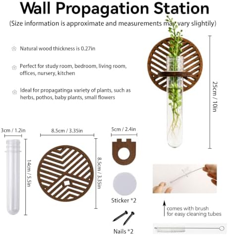 Artilady Plant Propagation Station Wall Hanging, Wood Arch Terrariums Tube - Image 4