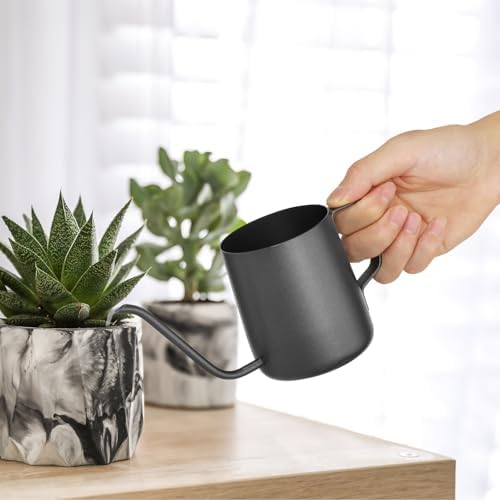 Small Watering Can Indoor Plants 12 OZ Mini Watering Can Stainless Steel by Roamall