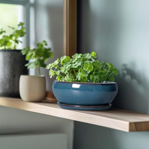 SQOWL Bonsai Pots - 8 Inch Ceramic Succulent Pots with Drainage Hole and Saucer, Round Shallow Planter for Indoor Outdoor Plants Flowers, Ceramic Planter Bowl, Room Decor, Gardening Gifts, Blue - Image 5