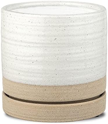 HERDUK 6 Inch Plant Pots, Ceramic Planter Pot with Drainage Hole & Saucer, Indoor/Outdoor Cylinder Round Planter Pot, White & Beige Glaze by Herduk