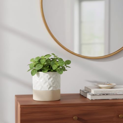 Nihow Self Watering Ceramic Plant Pot, 4.5 Inch, Matte White & Brown Star - Image 5