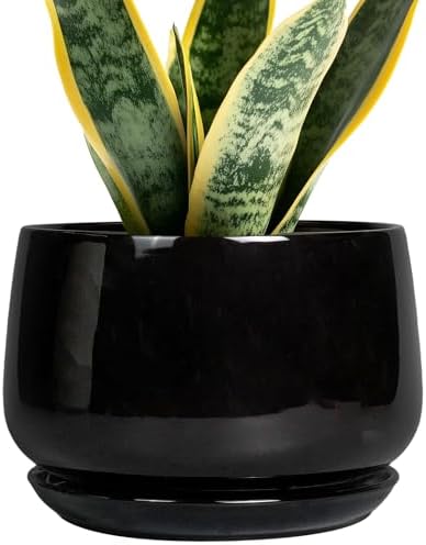 G EPGardening Ceramic Planter 7 Inch, Ceramic Pot for Plants, Black by GEPGardening