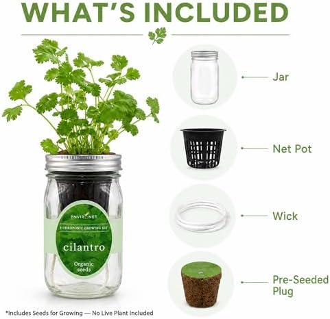 Hydroponic Herb Growing Kit, Self-Watering Mason Jar Window Herb Garden Starter Kit Indoor, Grow Your Own Herbs from Organic Seeds (Cilantro) - Image 3