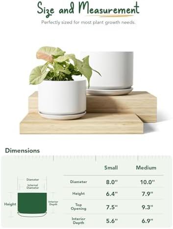 LE TAUCI Ceramic Plant Pots, Set of 2, 8+10 Inch Plant Pots Indoor with Drainage Hole & Saucer, Sturdy Planters for Indoor Plants, Modern Minimalist Decor for Snake Plant, Monstera, White - Image 4