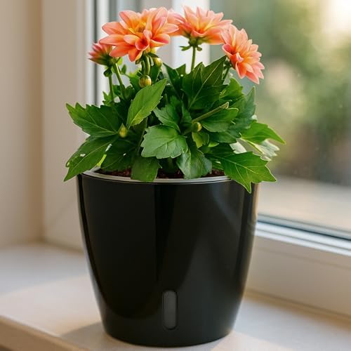 Self-Watering Pots for Indoor Plants, 8-Pack Self Watering Planter with Drainage Holes, Small African Violet Pots with Water Indicator, 5-Pack 5''/3-Pack 6.7'' Orchid Pot, Black - Image 6