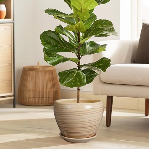Ceramicfor Planter Pot 8 Inch, Ceramic Pot for Plants, Yellow - Image 2