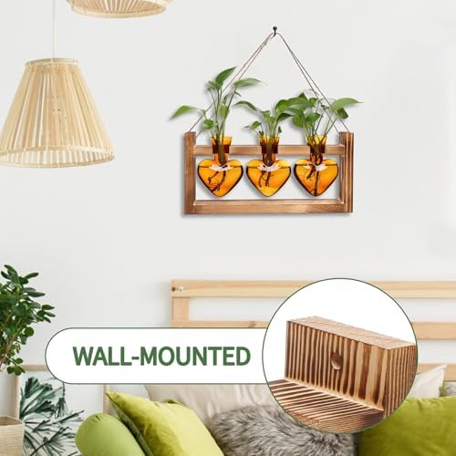 Plant Terrarium Propagation Stations Hydroponics - Image 3