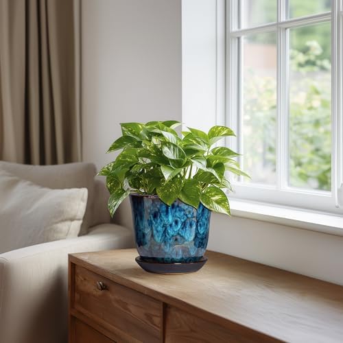 5.6 Inch Plant Pot - Ceramic Pots for Plants with Drainage Hole and Saucer, Round Succulent Flower Orchid Pot for Indoor Outdoor, Modern Planter, Home Room Decor, Gift for Plant Lover, Blue - Image 5