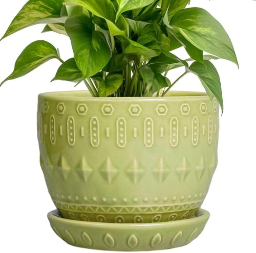 G EPGardening Ceramic Planter 5.5 Inch, Boho Plant Pot Indoor, Green by GEPGardening