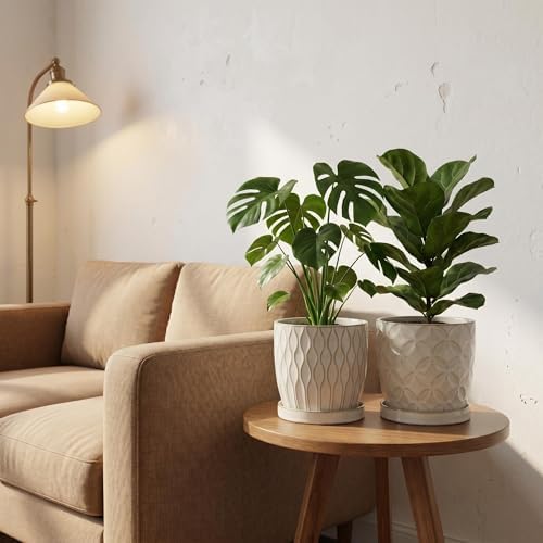 Nihow Ceramic Plant Pots with Drainage Hole & Saucer, 4.75 Inch, White-1 - Image 7