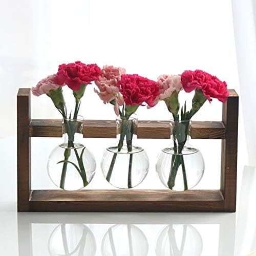 Kingbuy Glass Plant Terrarium with Retro Wood Stand, 3 Bulbs - Image 4