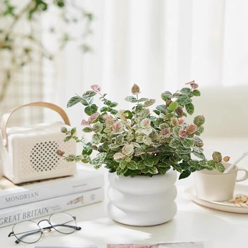 Ceramic Plant Pot Indoor, 4.5 Inch Flower Pot with Drainage Hole, Small Bubble Design Ceramic Planter for Home & Office Decor (White) - Image 2