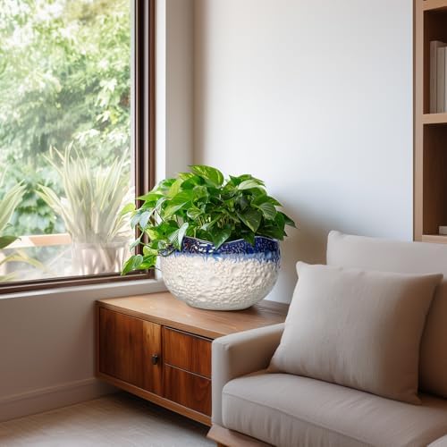 Ceramic Flower Pots, 10 Inch Planter with Drainage, Beige-Blue - Image 6